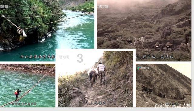 小猫钓鱼开船版最新版下载